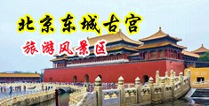 综合网黑大吊中国北京-东城古宫旅游风景区